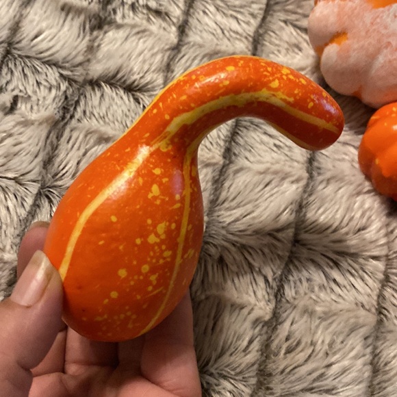 Assorted Fall Pumpkins - Picture 4 of 4